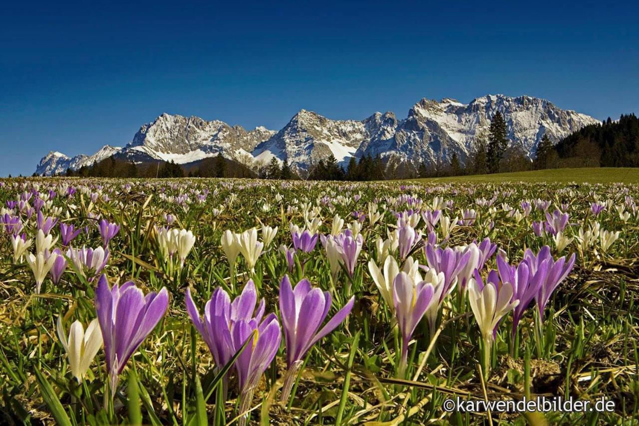 Ferienhotel Barmsee Krün Exteriör bild